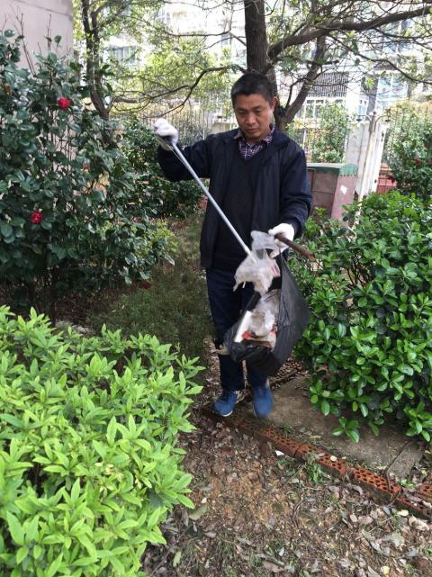 �����󺦡�Ԥ��������������������������Э����������